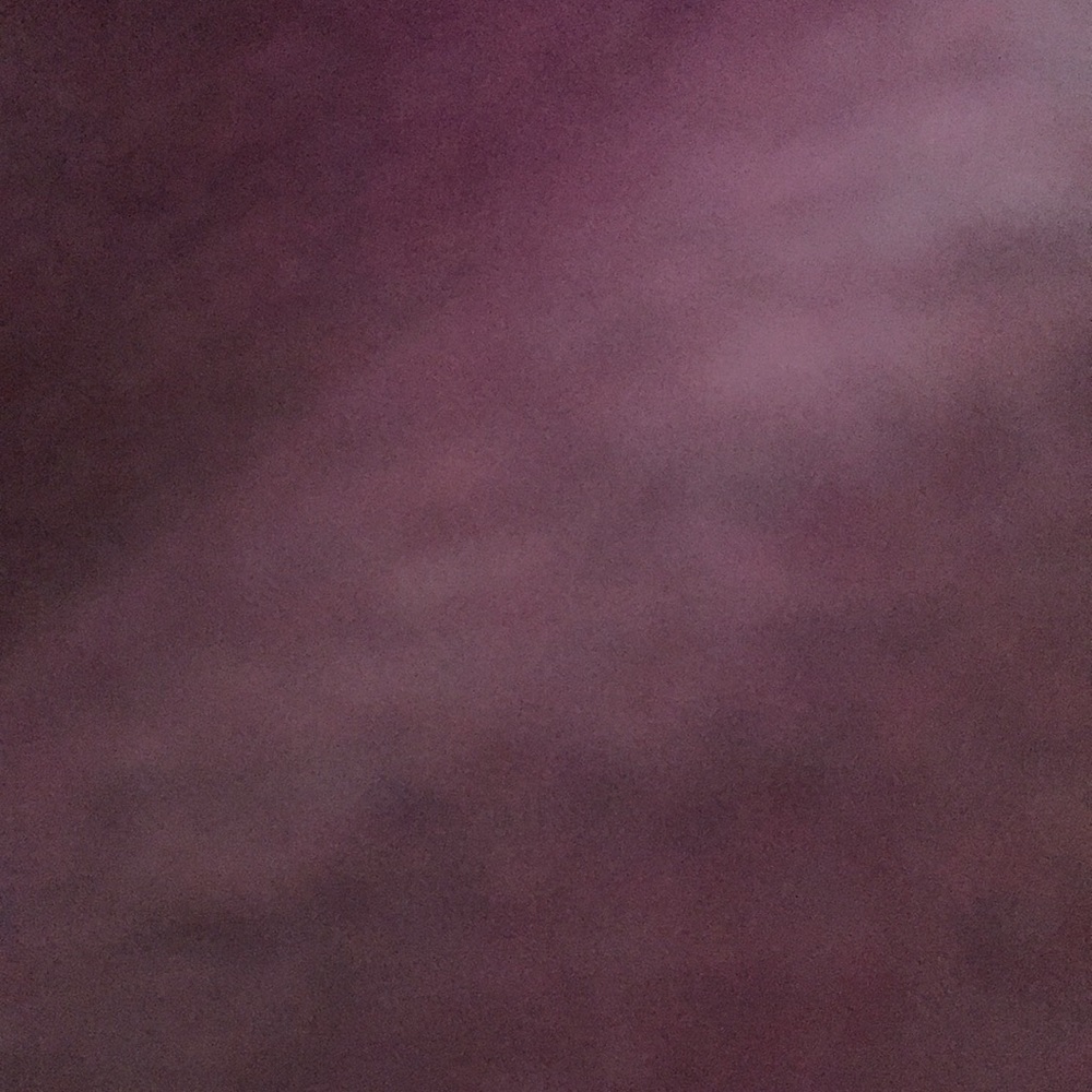 Meet your Posher, Devon